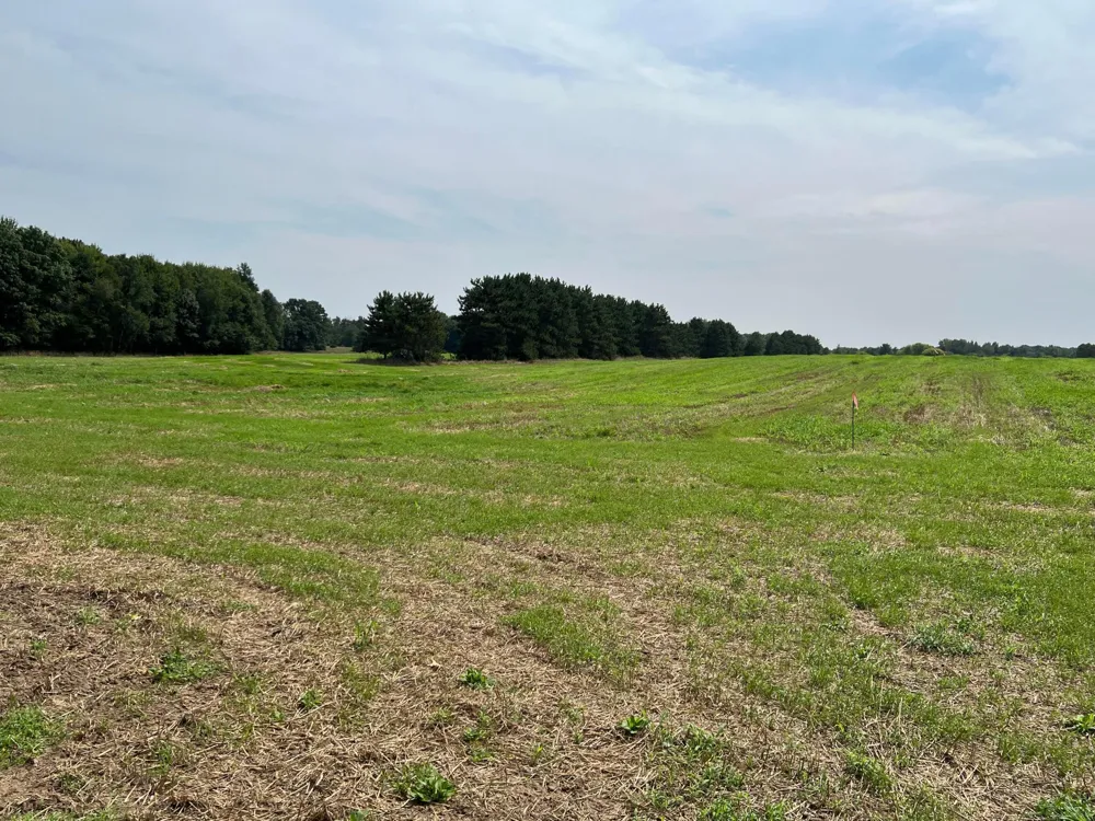 XXXX Elmcrest Avenue Stacy, MN 55079