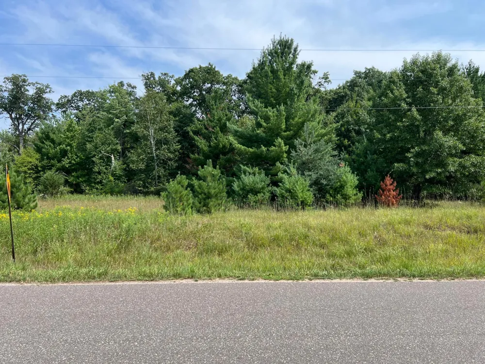 XXXX Elmcrest Avenue Stacy, MN 55079