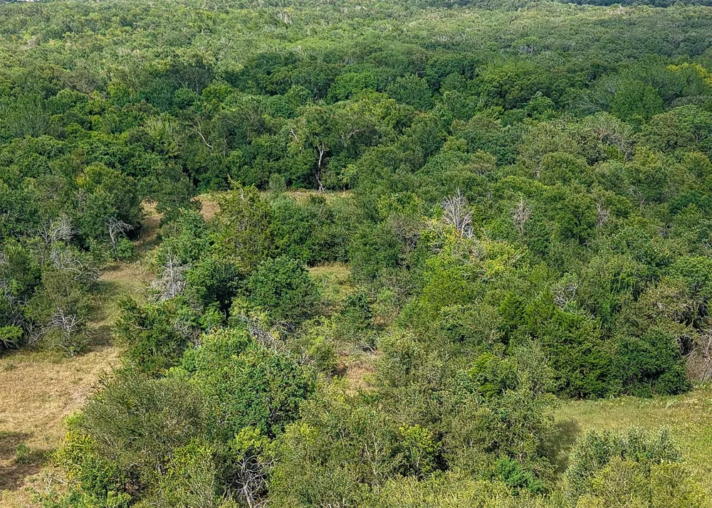 1210 County Road 302 Rockdale, TX 76567