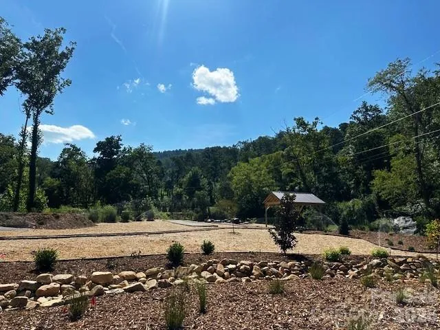 45 Reedy Creek Court Hendersonville, NC 28792
