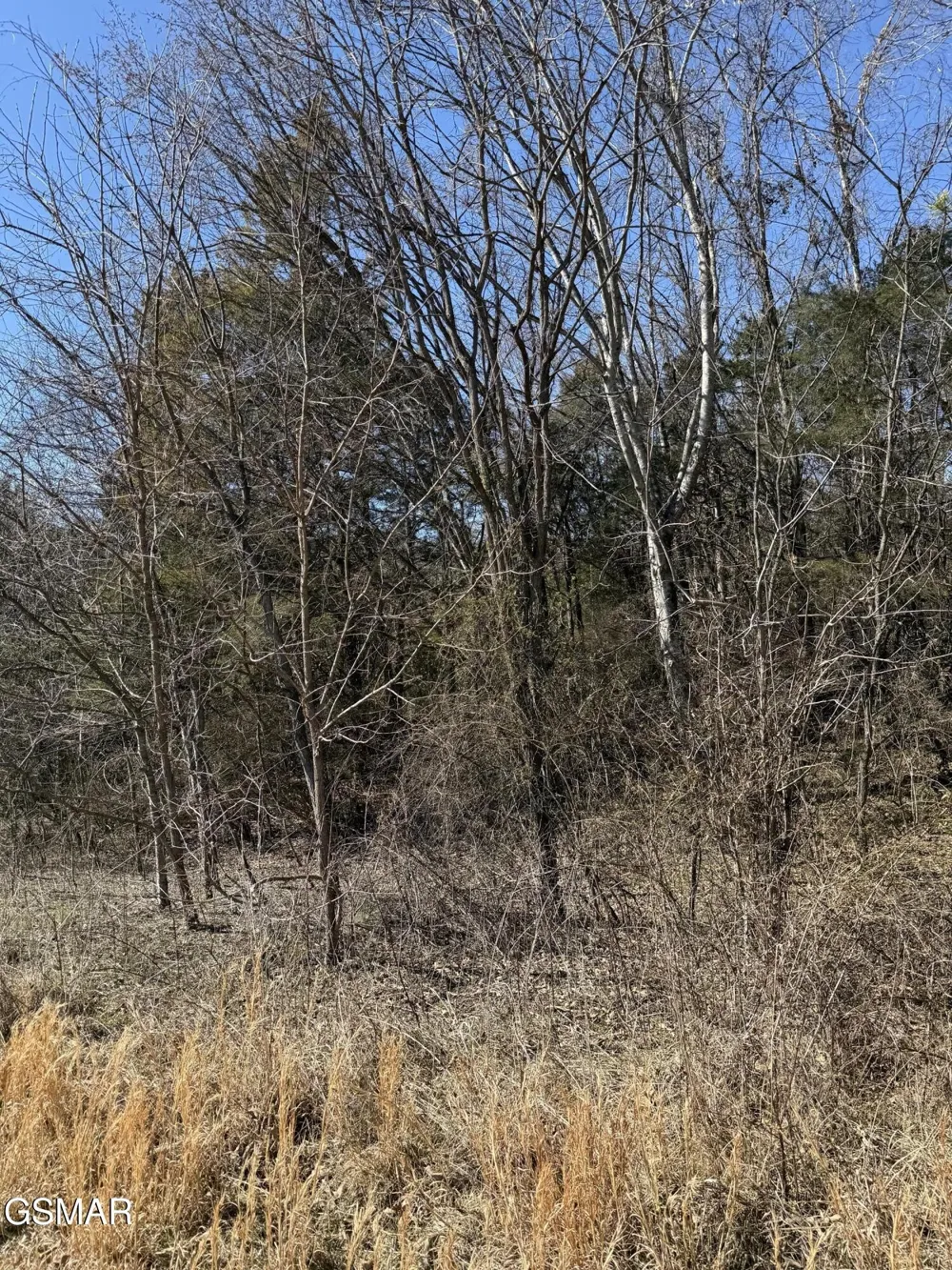 448 Lakota Way Newport, TN 37821