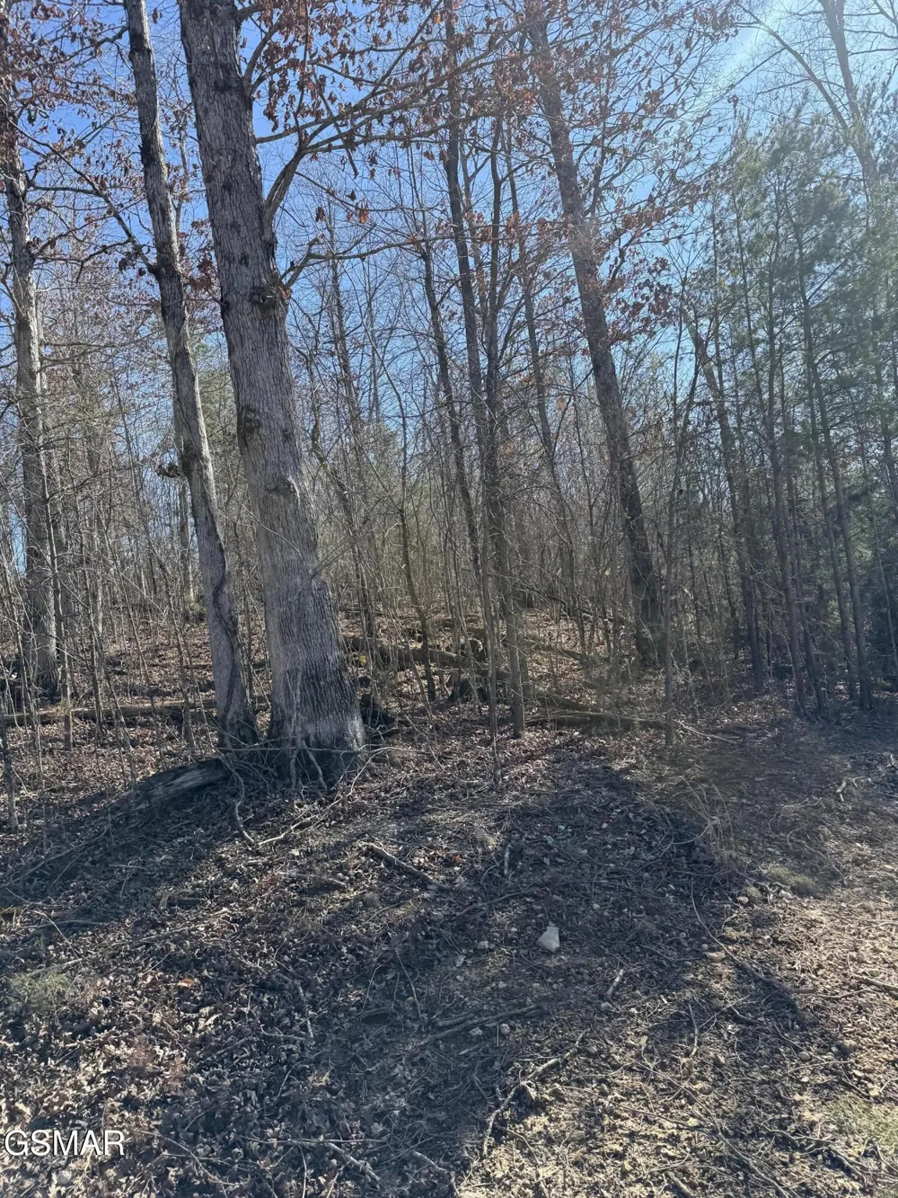 448 Lakota Way Newport, TN 37821
