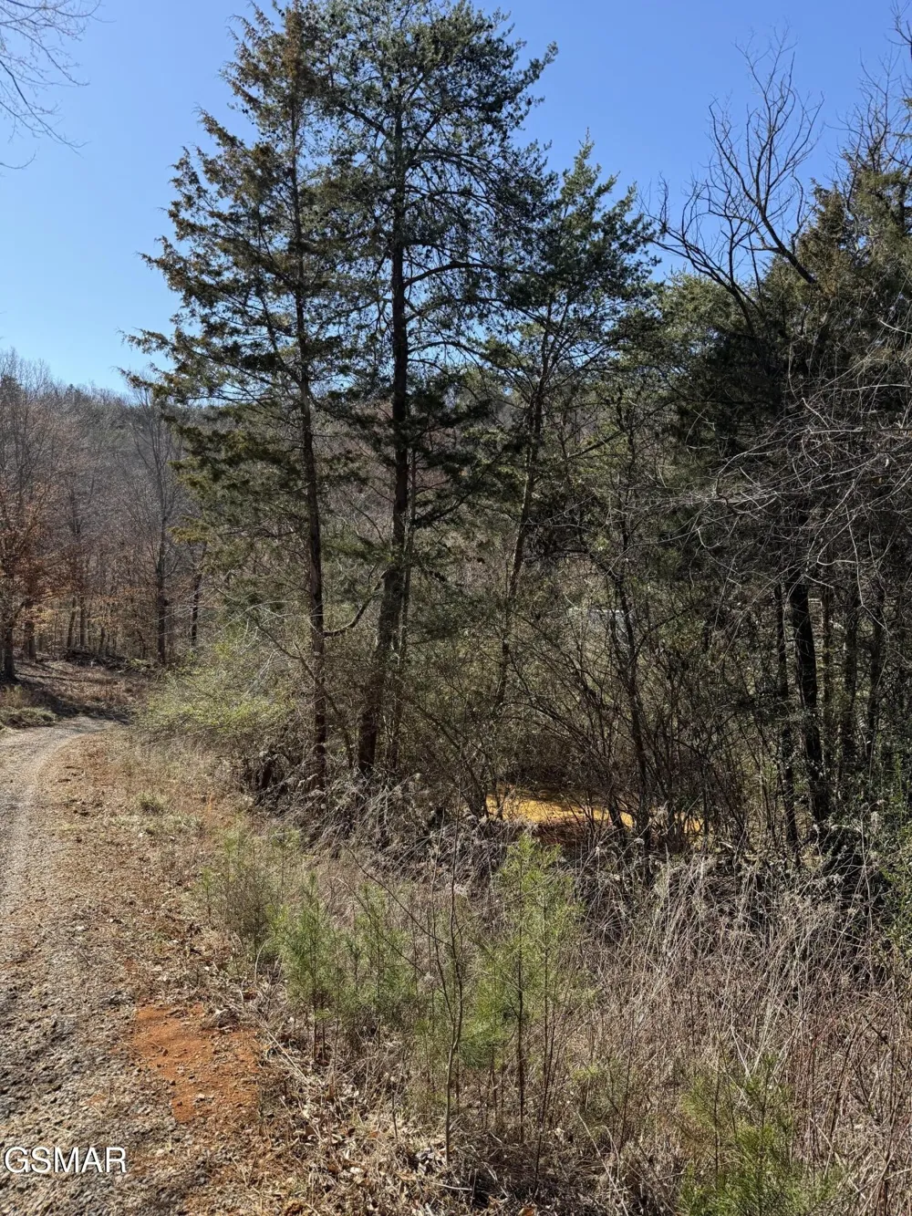 448 Lakota Way Newport, TN 37821