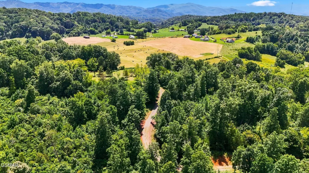 448 Lakota Way Newport, TN 37821