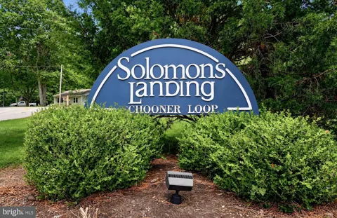 1334 SCHOONER LOOP #1334