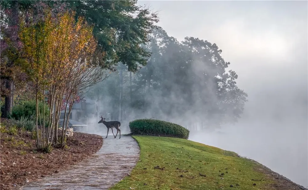 310 Clear Creek Court Roswell, GA 30076
