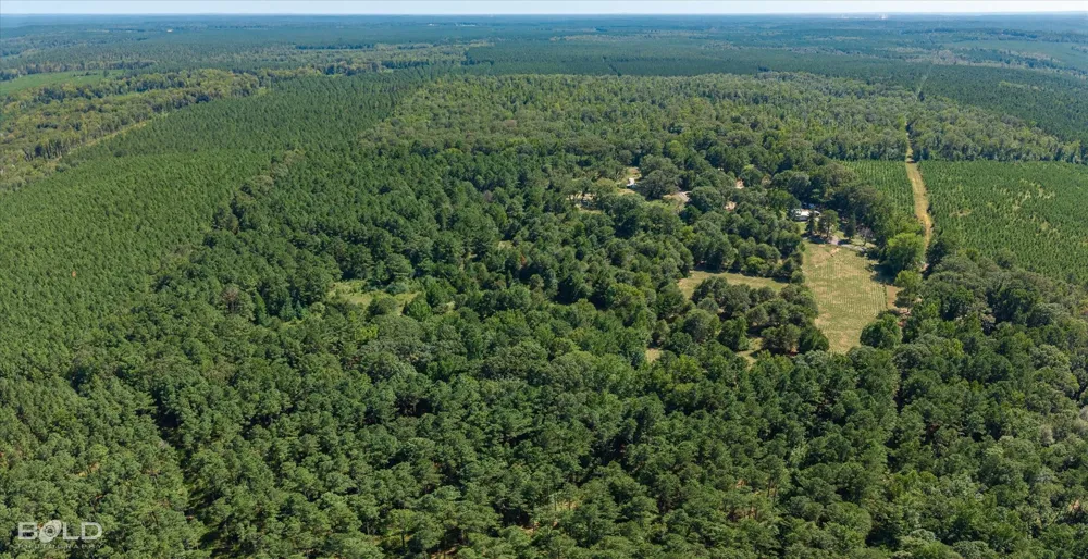 Rocky Mount Road Plain Dealing, LA 71064