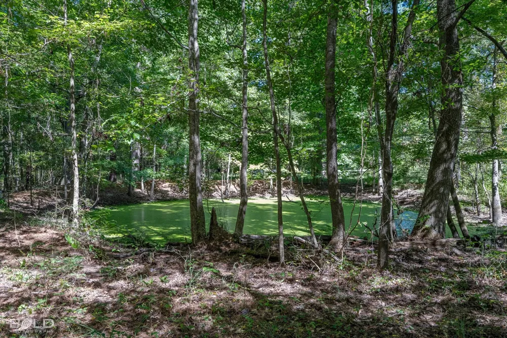 Rocky Mount Road Plain Dealing, LA 71064