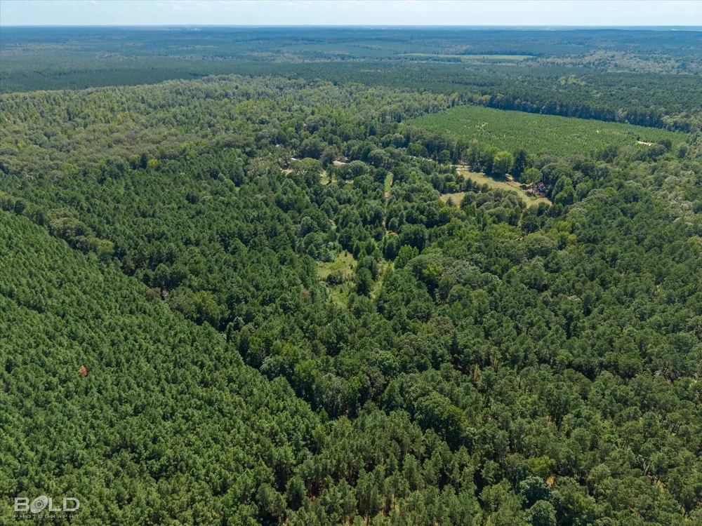 Rocky Mount Road Plain Dealing, LA 71064
