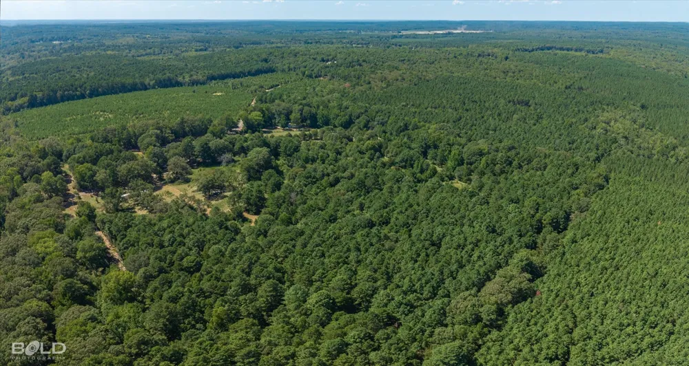 Rocky Mount Road Plain Dealing, LA 71064