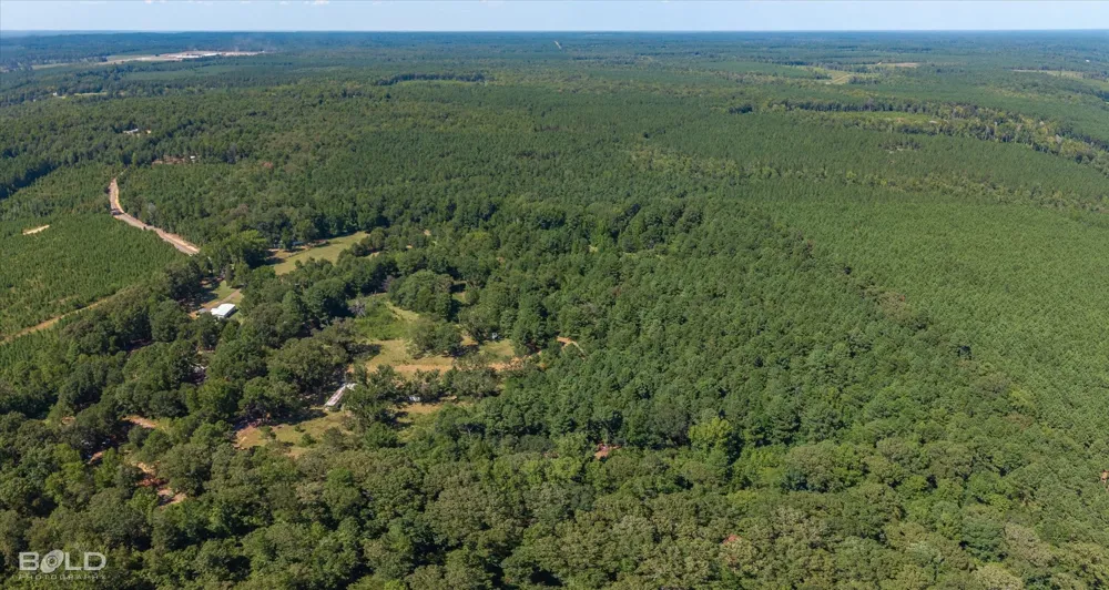 Rocky Mount Road Plain Dealing, LA 71064