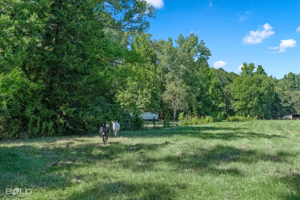Rocky Mount Road Plain Dealing, LA 71064