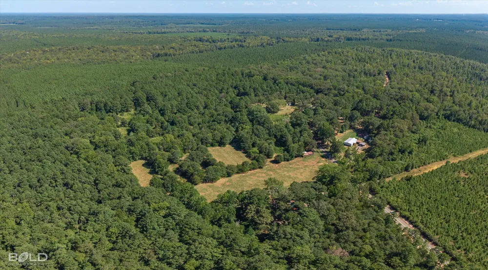 Rocky Mount Road Plain Dealing, LA 71064