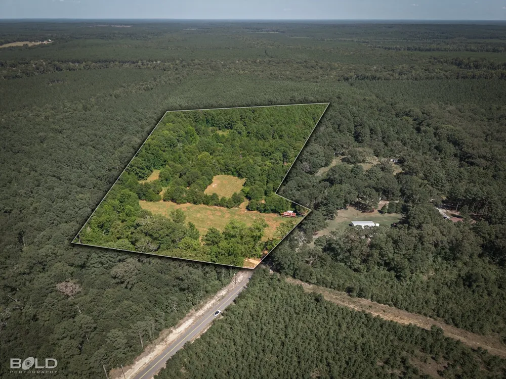Rocky Mount Road Plain Dealing, LA 71064