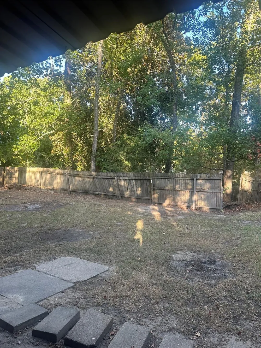 113 Longleaf Livingston, TX 77351