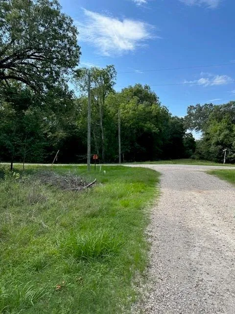 Walker Dr