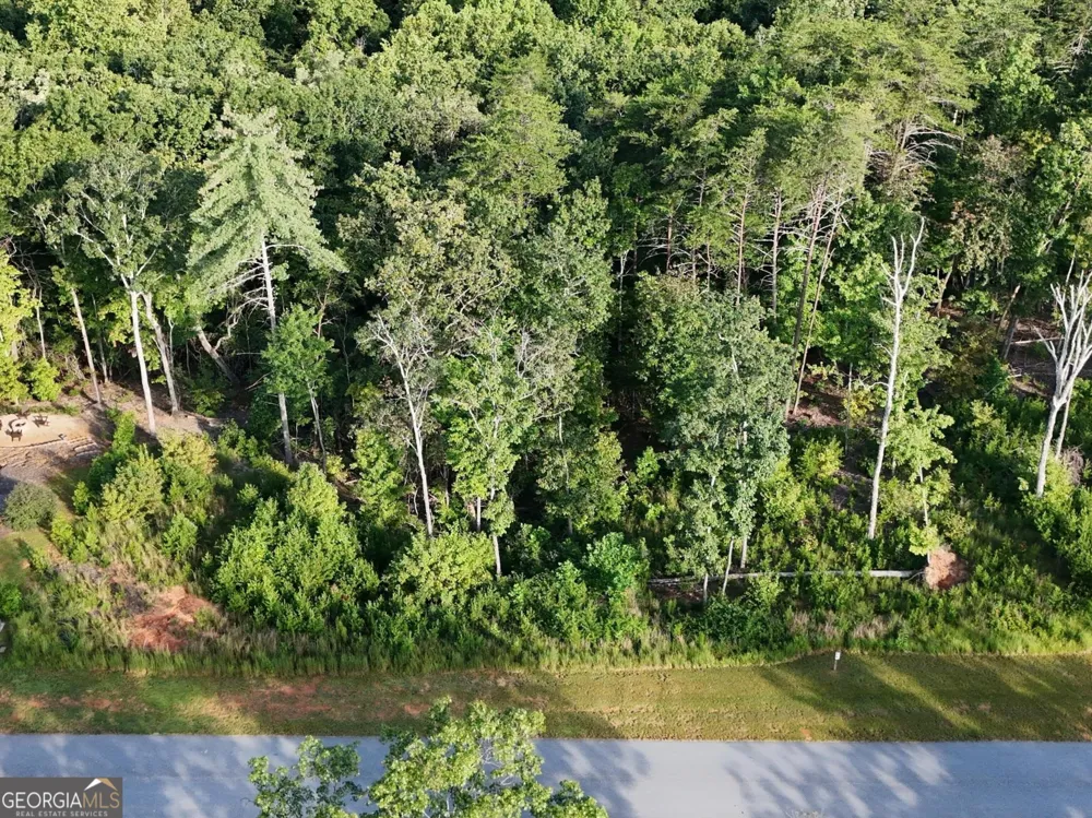 0 Waterfall LN Sautee Nacoochee, GA 30571