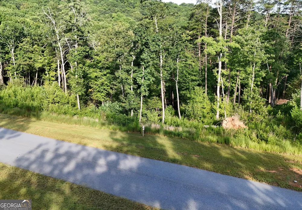 0 Waterfall LN Sautee Nacoochee, GA 30571