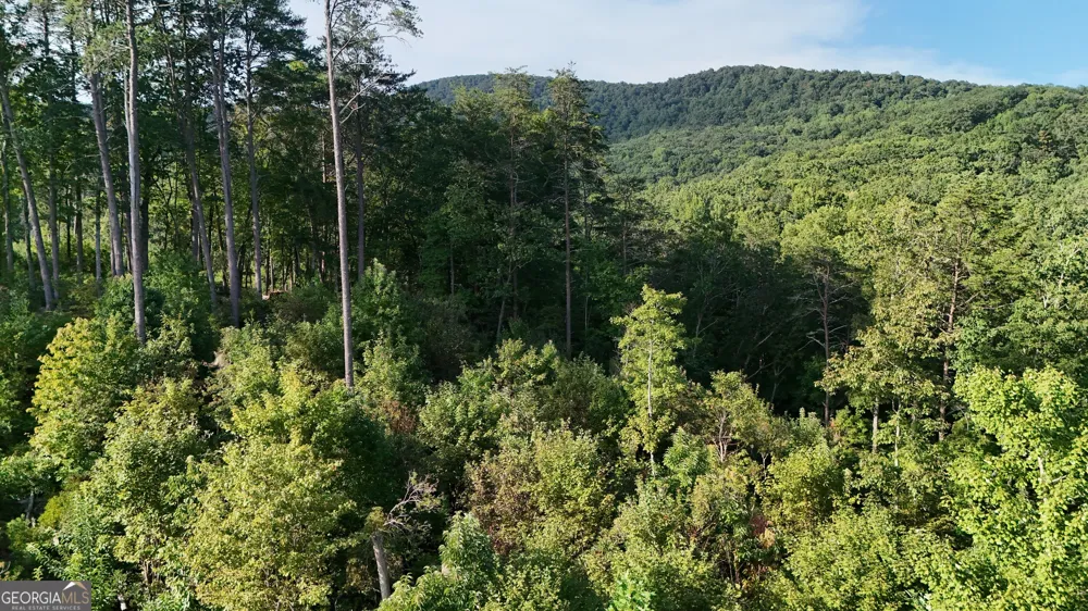 0 Waterfall LN Sautee Nacoochee, GA 30571