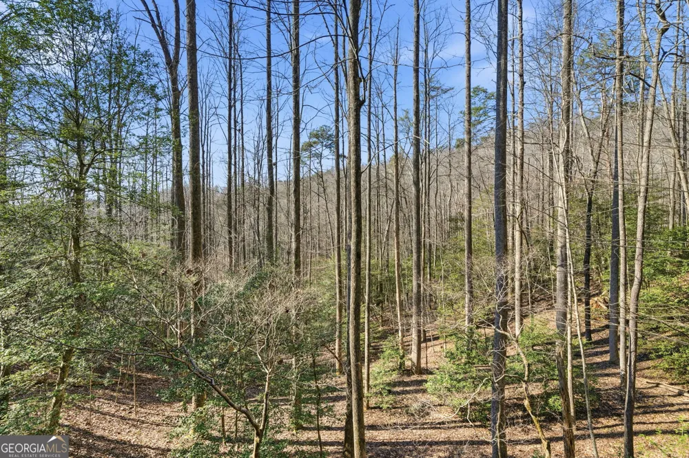 266 Chimney Rock RD Cherry Log, GA 30522