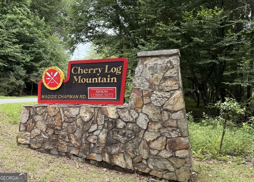 266 Chimney Rock RD Cherry Log, GA 30522