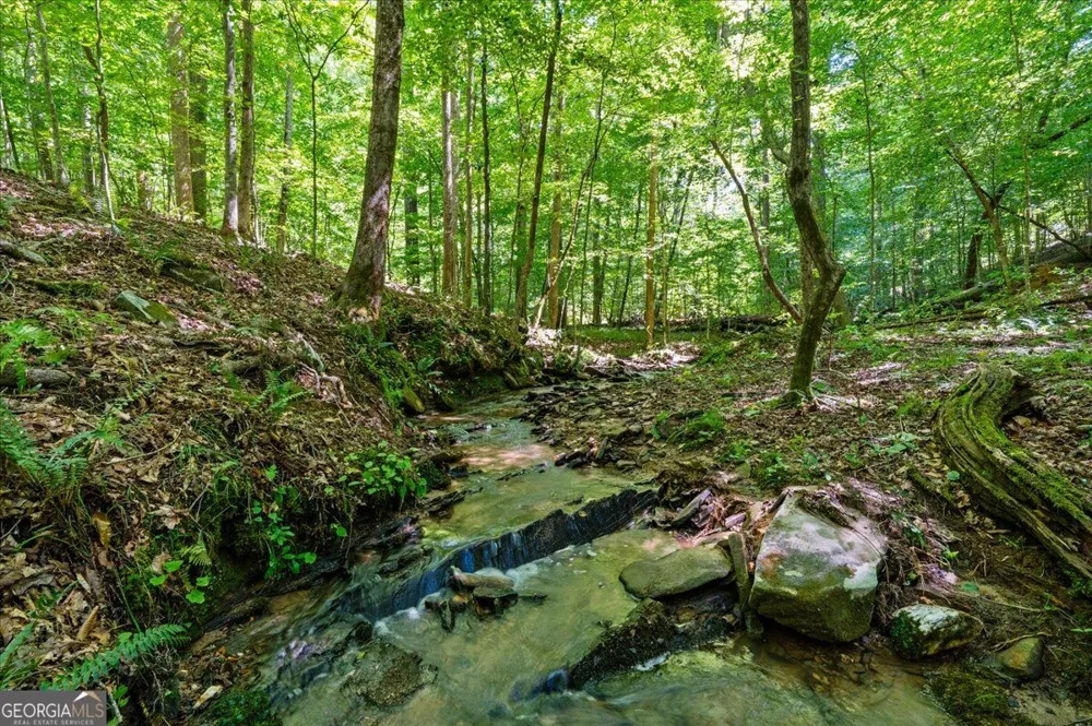 30 Chancel CIR Ellijay, GA 30540