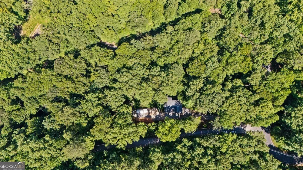 30 Chancel CIR Ellijay, GA 30540