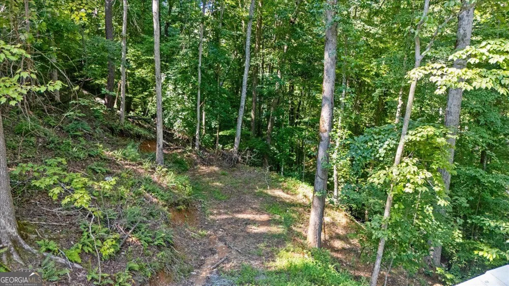 30 Chancel CIR Ellijay, GA 30540