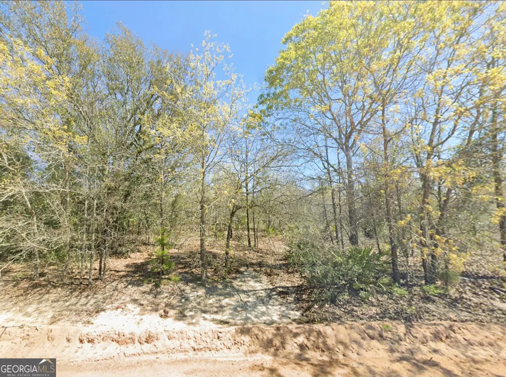 0 Mixon LN Douglas, GA 31535