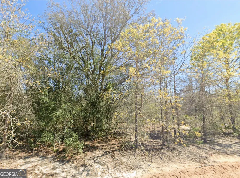 0 Mixon LN Douglas, GA 31535