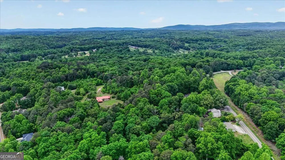 205 Upper Bethany TRL Ball Ground, GA 30107