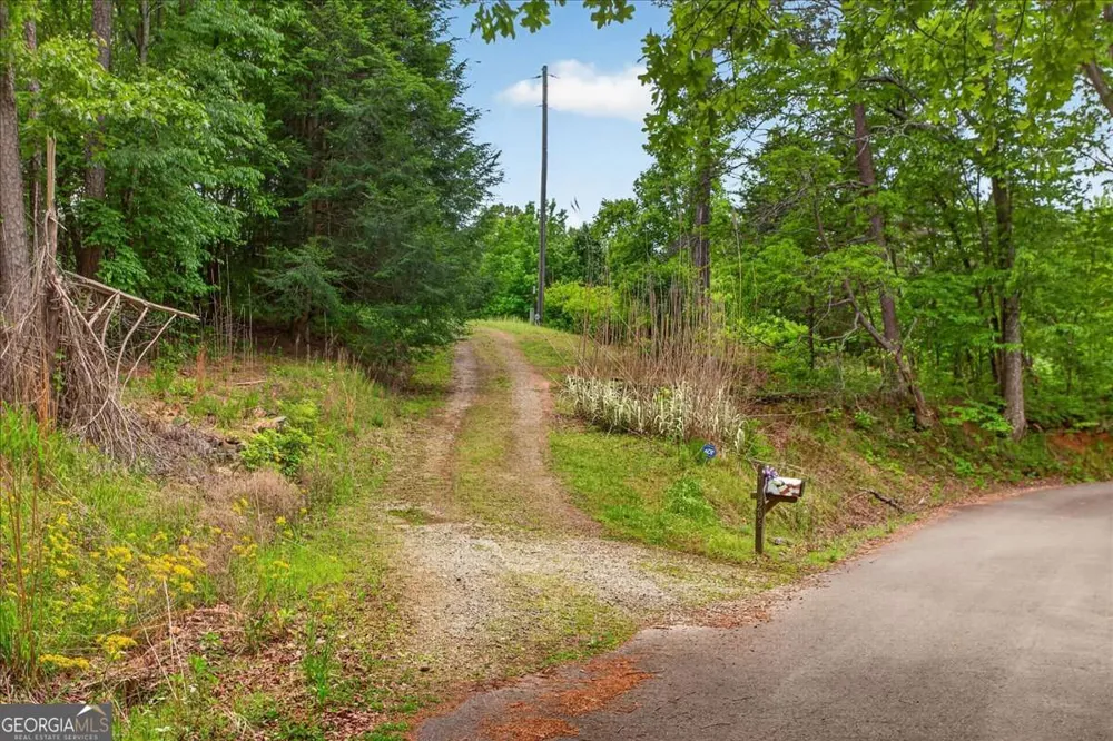 205 Upper Bethany TRL Ball Ground, GA 30107