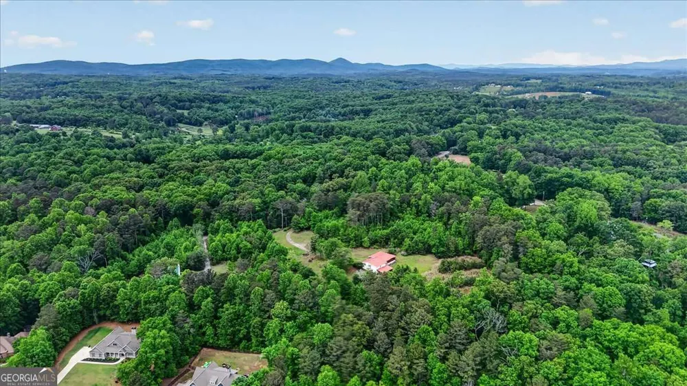 205 Upper Bethany TRL Ball Ground, GA 30107