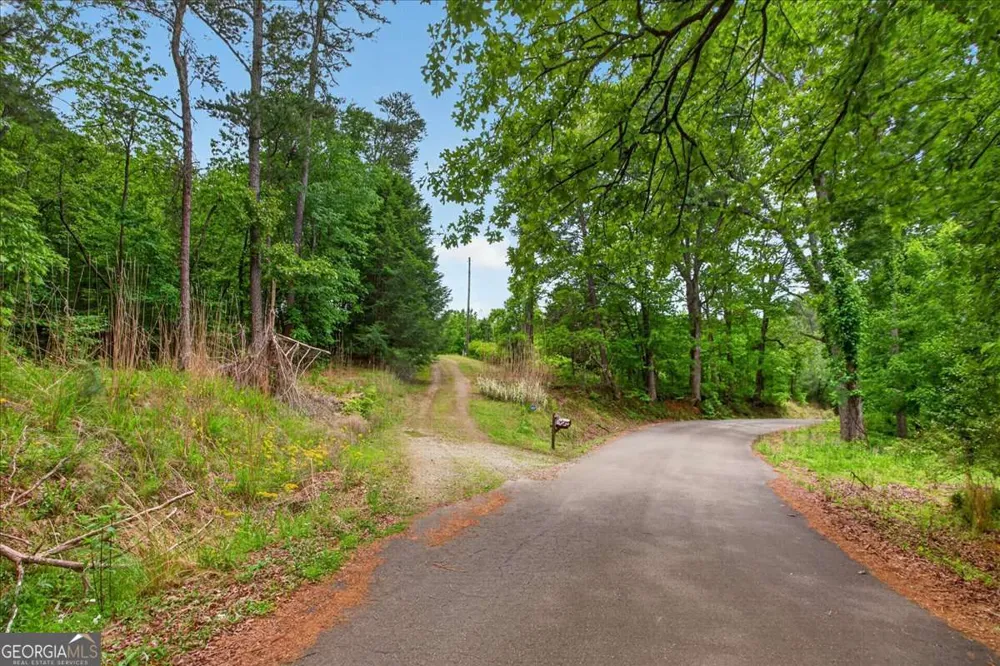 205 Upper Bethany TRL Ball Ground, GA 30107