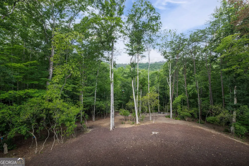 195 Moonshine WAY Blue Ridge, GA 30513