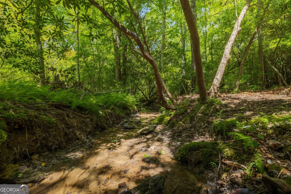 195 Moonshine WAY Blue Ridge, GA 30513