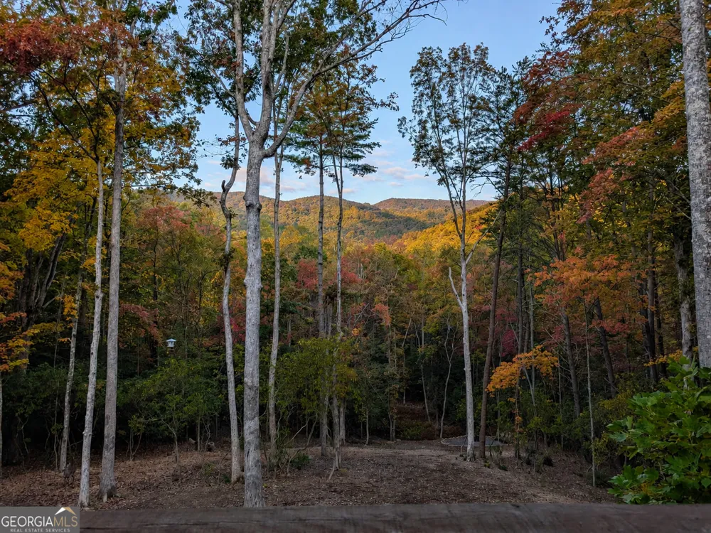 195 Moonshine WAY Blue Ridge, GA 30513