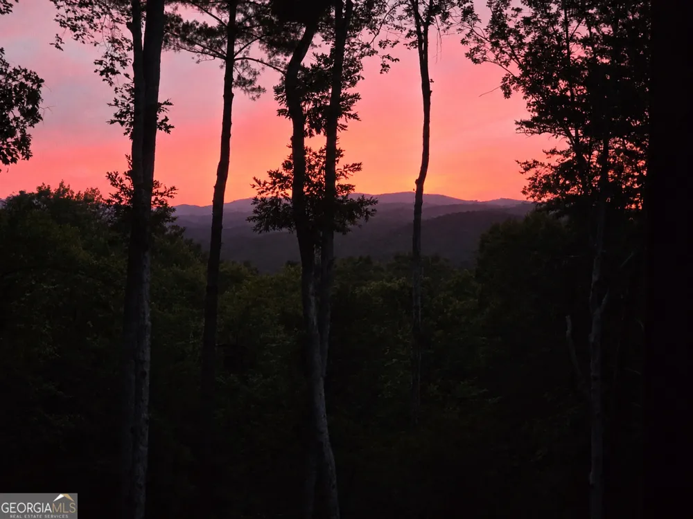 195 Moonshine WAY Blue Ridge, GA 30513