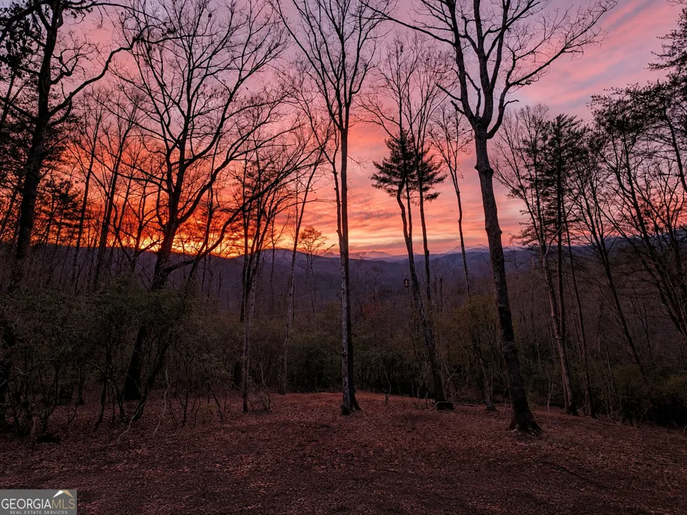 195 Moonshine WAY Blue Ridge, GA 30513