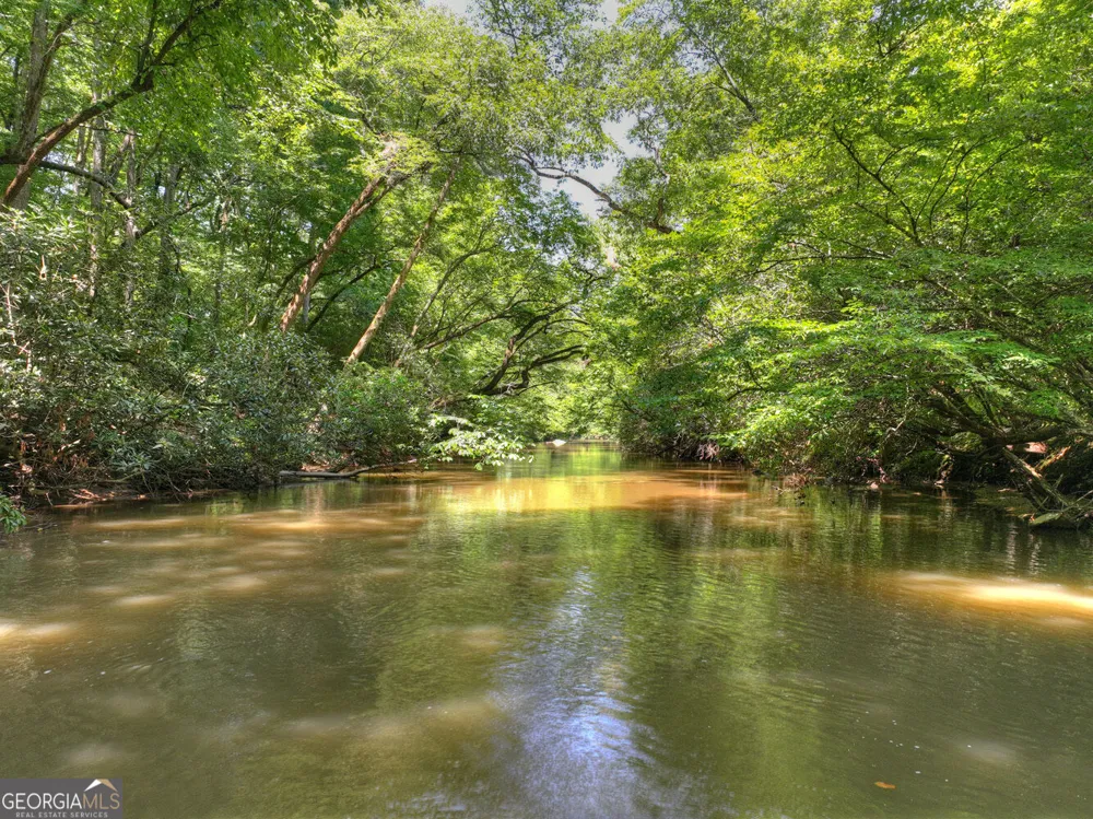 357 Goldmine TRL Ellijay, GA 30536