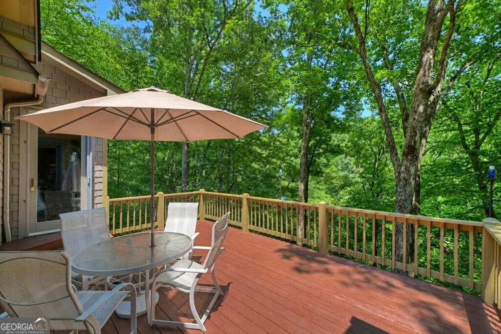 357 Goldmine TRL Ellijay, GA 30536