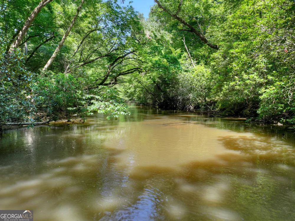 357 Goldmine TRL Ellijay, GA 30536