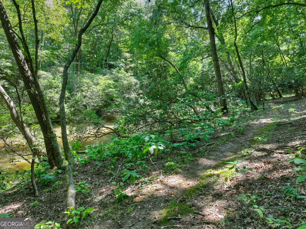 357 Goldmine TRL Ellijay, GA 30536