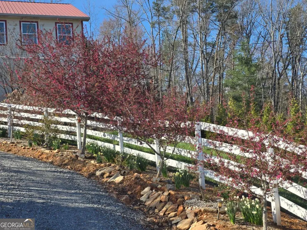 53 Fox RUN Blue Ridge, GA 30513
