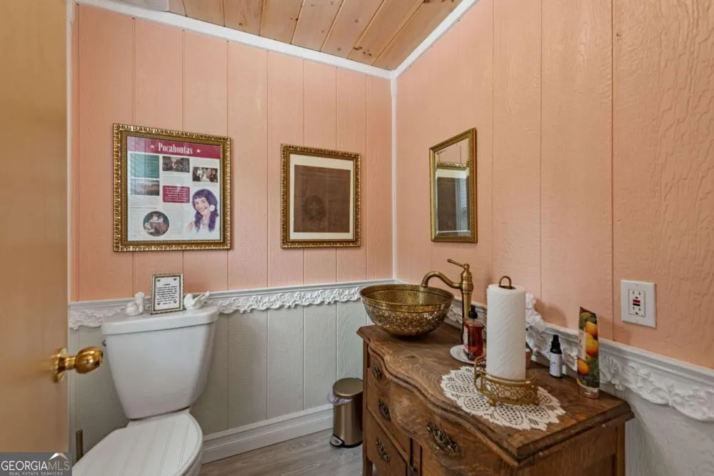 53 Fox RUN Blue Ridge, GA 30513