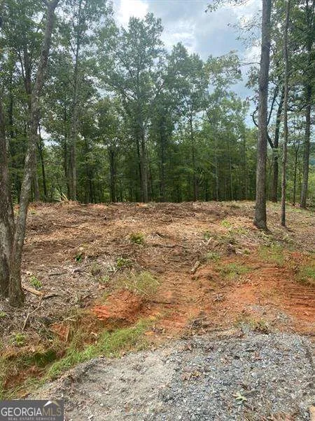 LOT 56 Ridge Line TRL