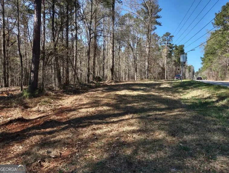 12425 Panhandle RD Hampton, GA 30228
