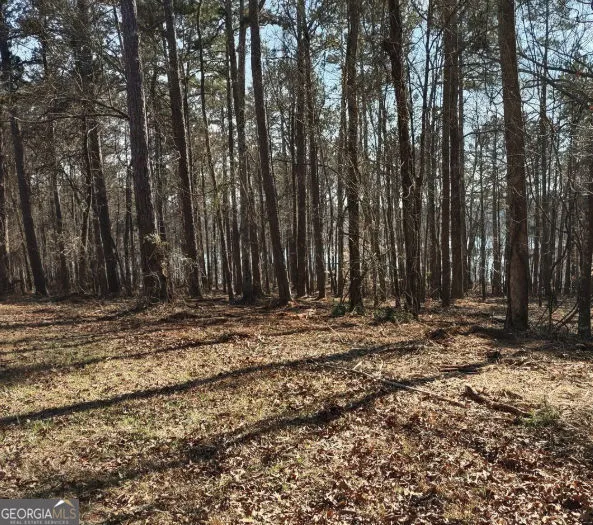 12425 Panhandle RD Hampton, GA 30228