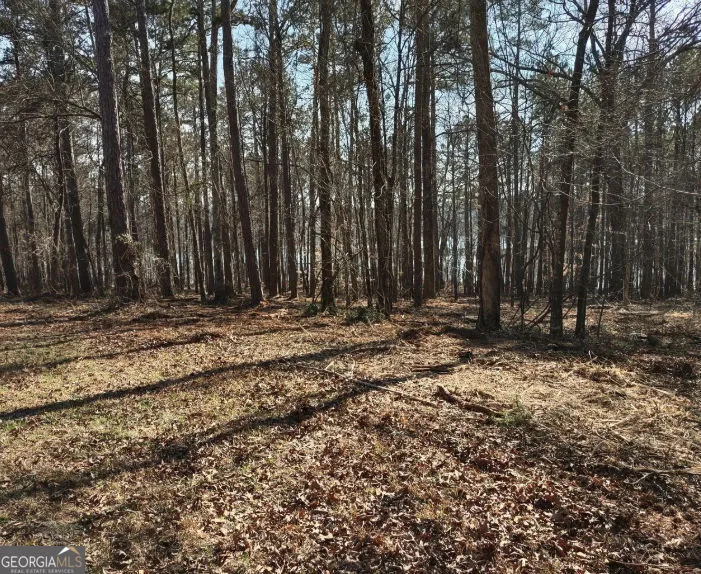 12425 Panhandle RD Hampton, GA 30228