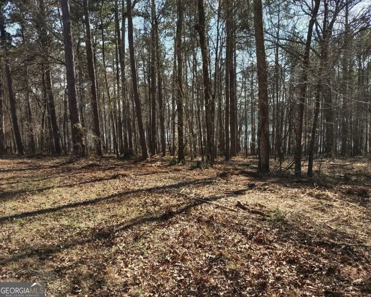 12425 Panhandle RD Hampton, GA 30228